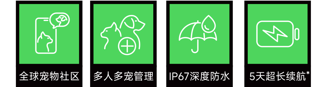 图片 13