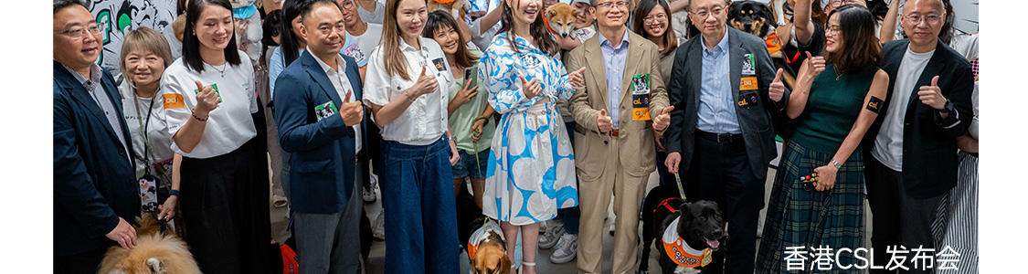 图片 30
