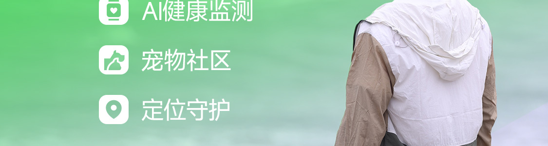 图片 39