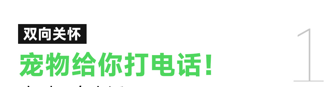 图片 43