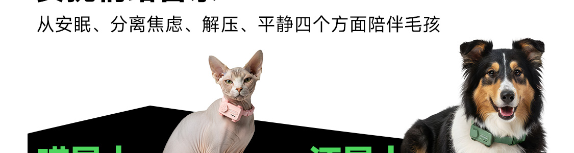 图片 52
