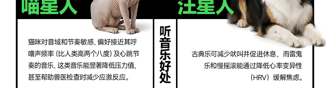 图片 53