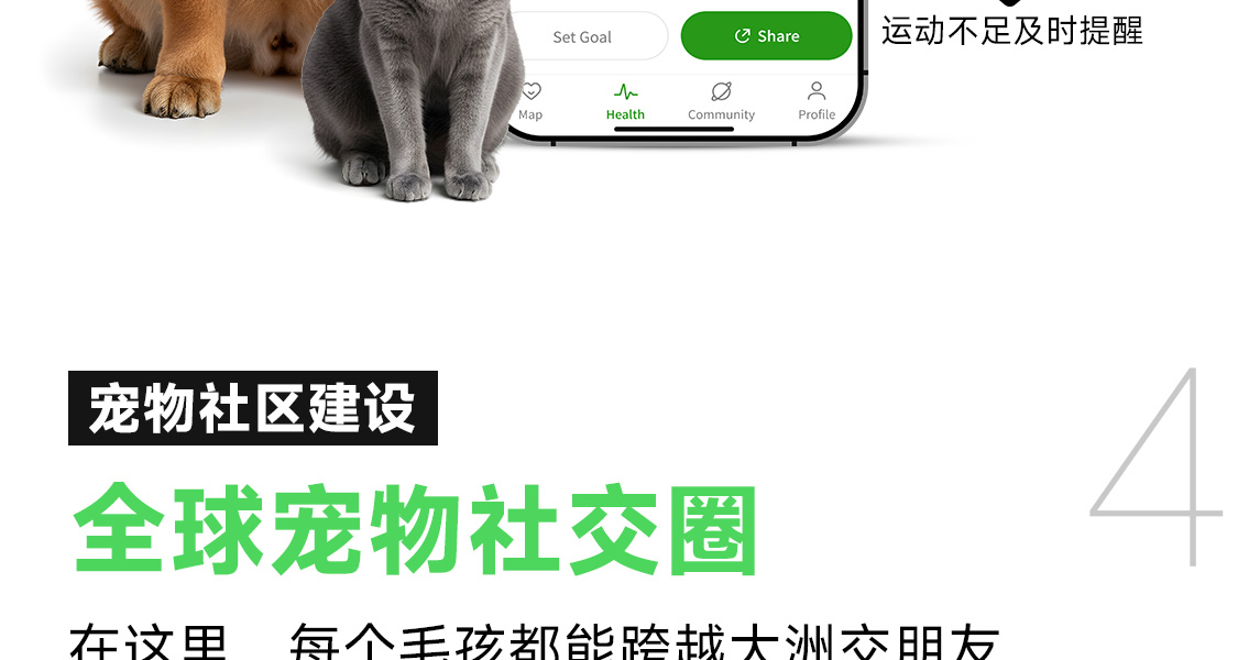 图片 61