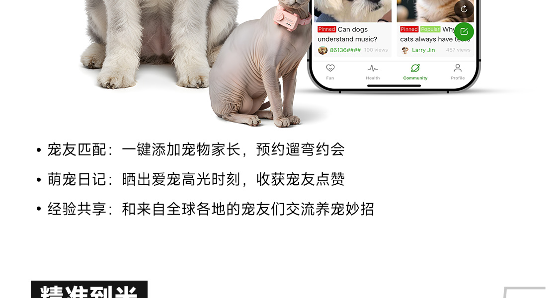 图片 63