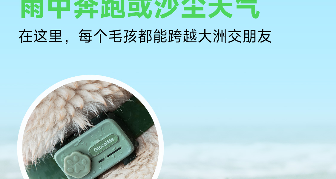 图片 77